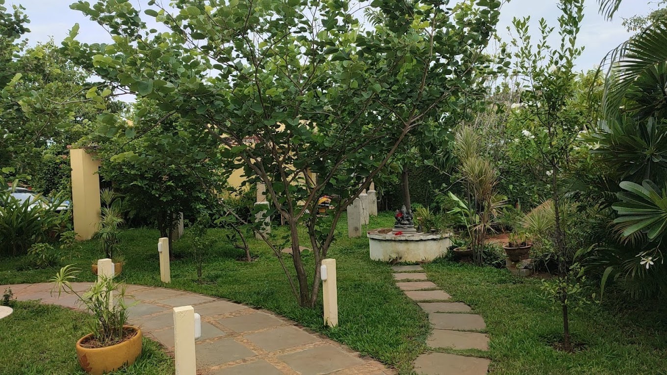 Stone pathways winding through the lush garden and mature trees