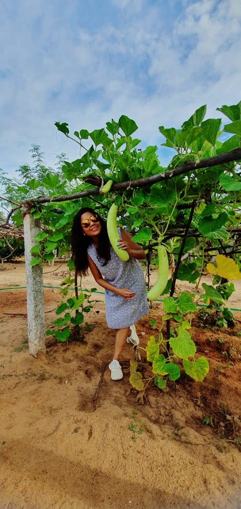 A guest holding long gourds beneath a leafy garden trellis